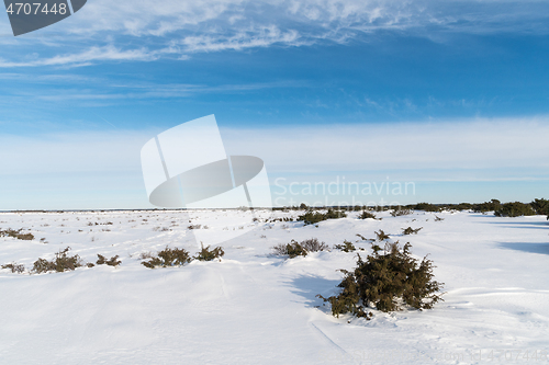 Image of Snowy great plain landscape