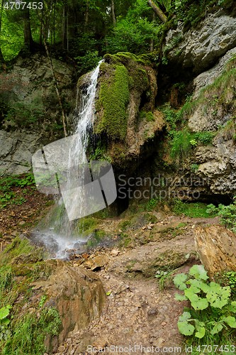 Image of Small waterfall in the forest in Wutach Gorge, Germany