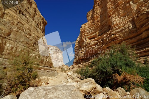 Image of Scenic cliffs of Ein Avdat (Ein Ovdat) gorge in Israel