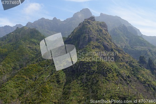 Image of Scenic mountain landscape in Serra de Agua region on Madeira island, Portugal