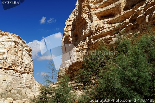 Image of Scenic cliffs of Ein Avdat (Ein Ovdat) gorge in Israel