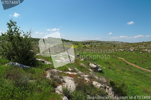 Image of Green Mediterranean valley among hills in spring
