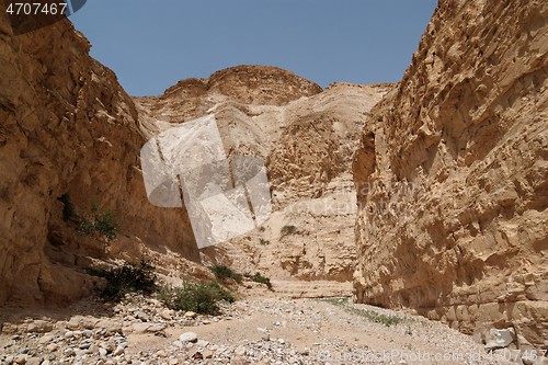 Image of Desert canyon