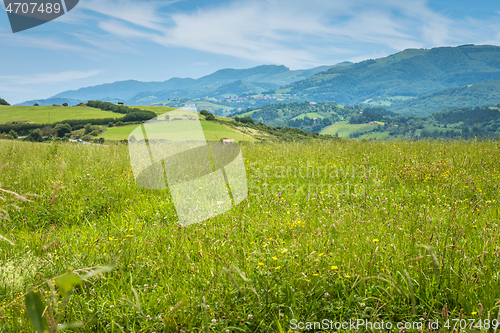 Image of Green meadow in mountain.