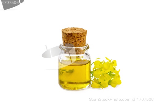 Image of Oil mustard in vial with flower