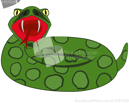 Image of Cartoon snake on white background is insulated