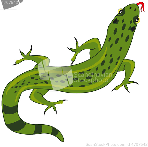 Image of Vector illustration grovelling animal lizard type overhand