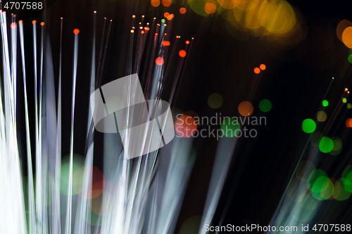 Image of Fiber optical network cable