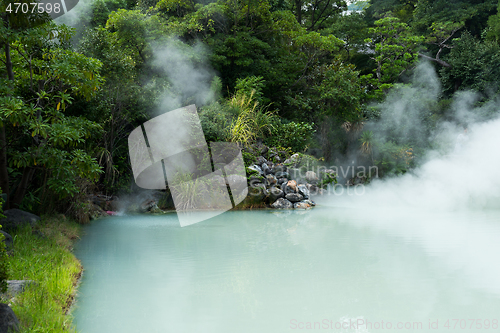 Image of Shiraike Jigoku in Beppu