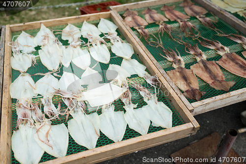 Image of Drying squid and fish in market