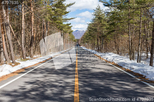 Image of Winter time in forest with road