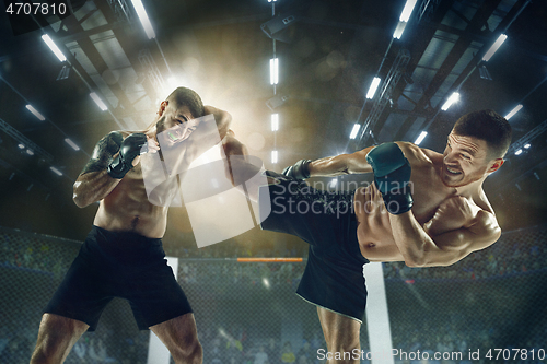 Image of Two professional boxers boxing on the ring