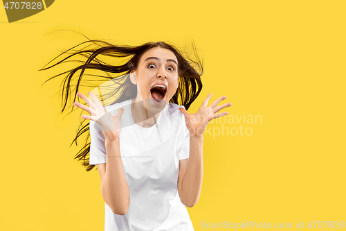 Image of Portrait of beautiful woman isolated on yellow studio background