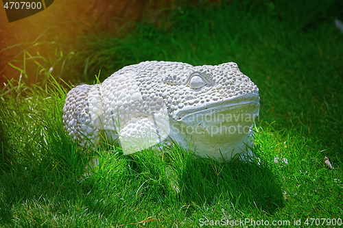 Image of Outdoor Frog Statue