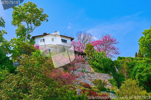 Image of House on a Hill