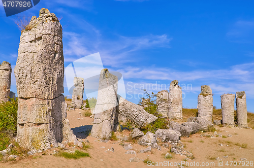 Image of The Stone Desert