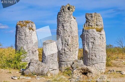 Image of The Stone Desert