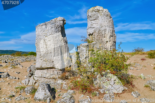 Image of The Stone Desert