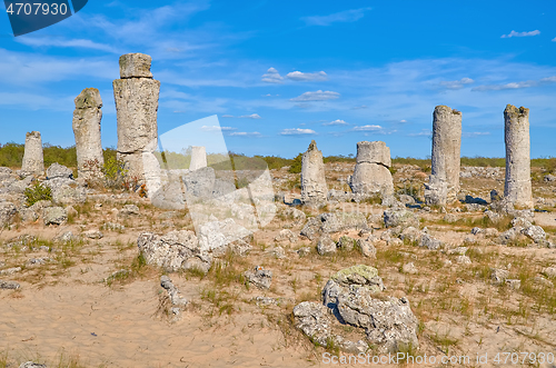 Image of The Stone Desert