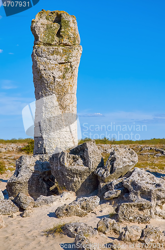 Image of The Stone Desert