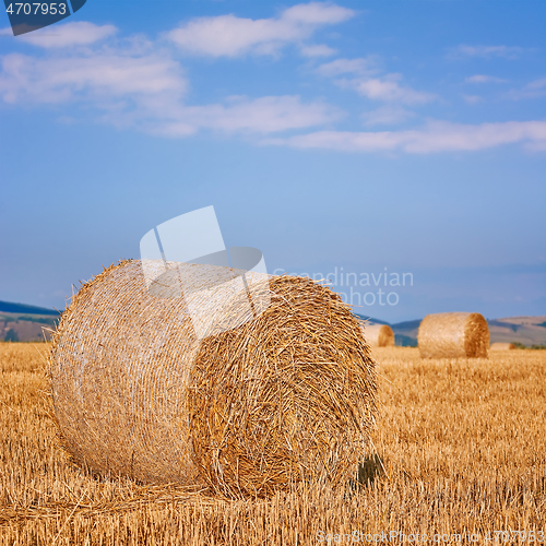 Image of Haystacks on the Field