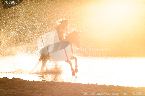 Image of A girl rides a horse in the water along the river bank in the rays of sunset