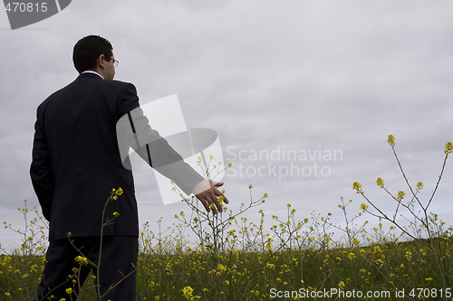 Image of Businessman enjoying nature