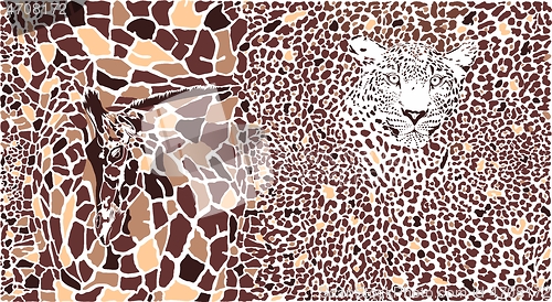 Image of Abstract texture of giraffe and leopard