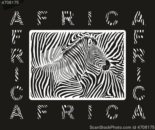 Image of Abstract zebra skin texture background