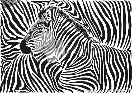 Image of Background with a zebra motif