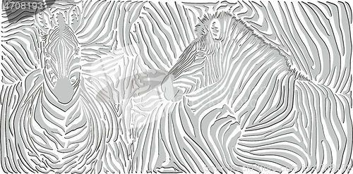 Image of Black and white zebra background skin with heads