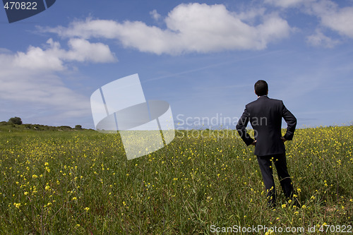 Image of Businessman in the field