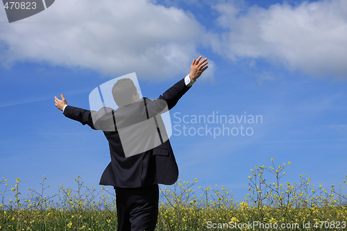 Image of Businessman outstretched on a field