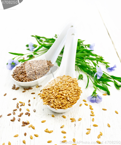 Image of Flaxen white and brown in two spoons on wooden table