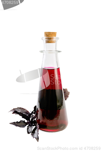 Image of Vinegar with purple basil in bottle