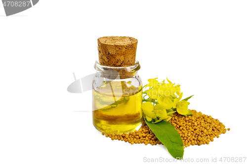 Image of Oil mustard in vial with seeds and flower