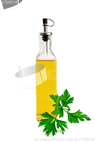 Image of Oil or vinegar with parsley in bottle