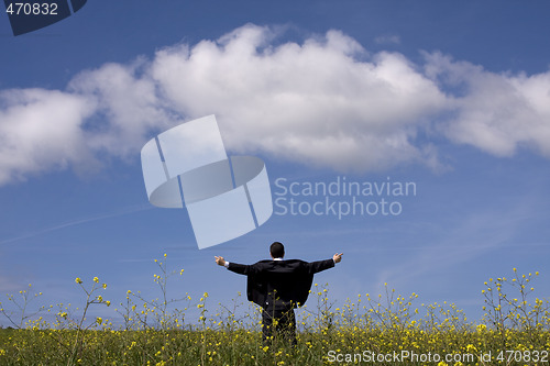 Image of Businessman outstretched on a field