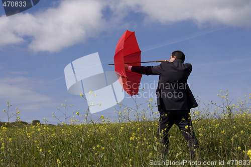 Image of The insurance man