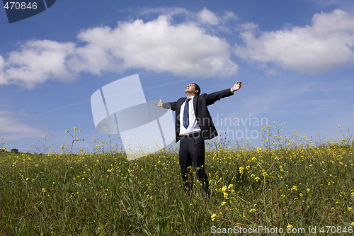 Image of Businessman enjoying nature