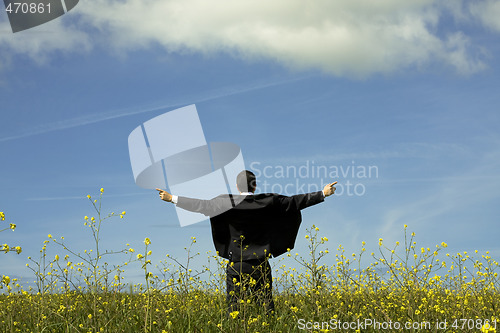 Image of Businessman outstretched on a field