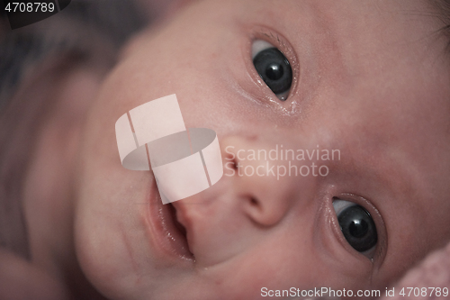 Image of One month newborn baby sleeping in bed