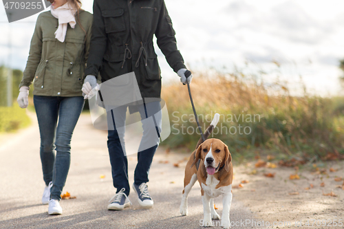 Image of family walking with dog in autumn