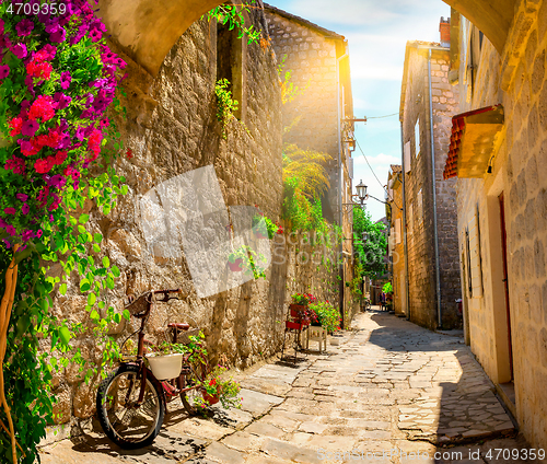 Image of Street in Perast