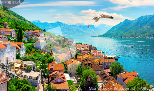 Image of Perast from above