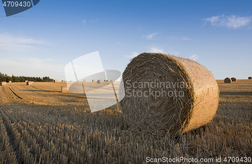 Image of Field and straw bales