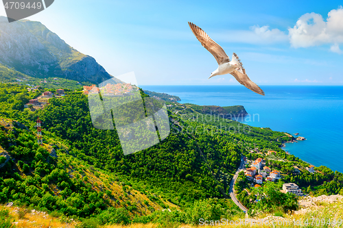 Image of landscape of Budva