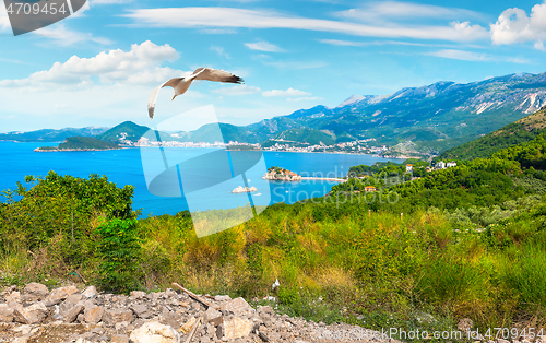 Image of Panoramic of Budva 