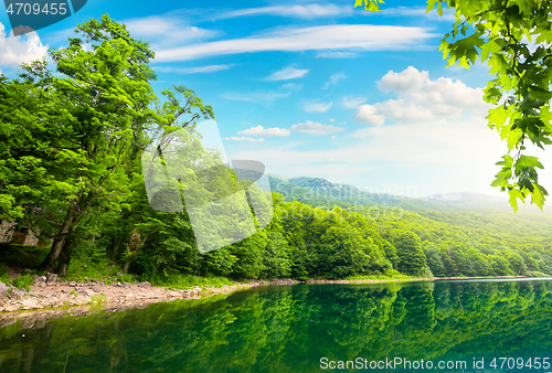 Image of Biogradsko lake in Montenegro