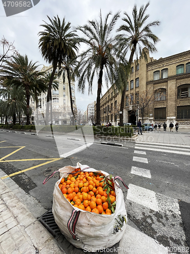 Image of Open bag of fresh oranges or citrus fruit in a city street of Valencia, Spain